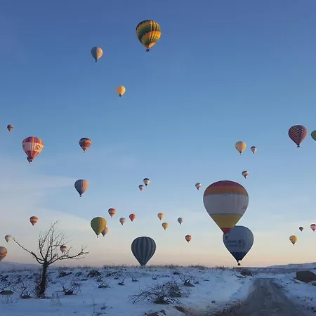 فندق Unicorn Cave 2*