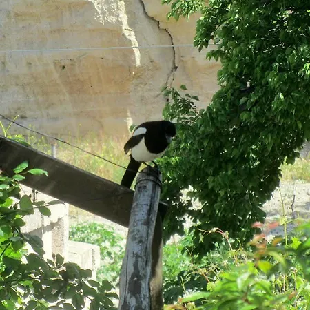 Unicorn Cave Göreme