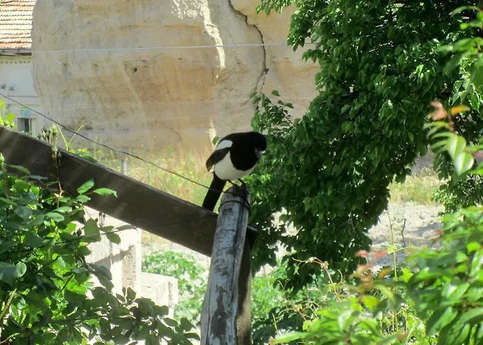 Unicorn Cave Göreme